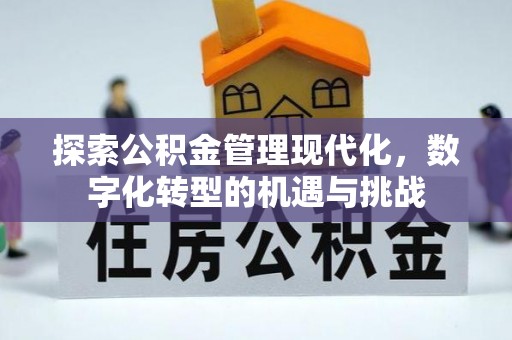 孟村探索公积金管理现代化，数字化转型的机遇与挑战