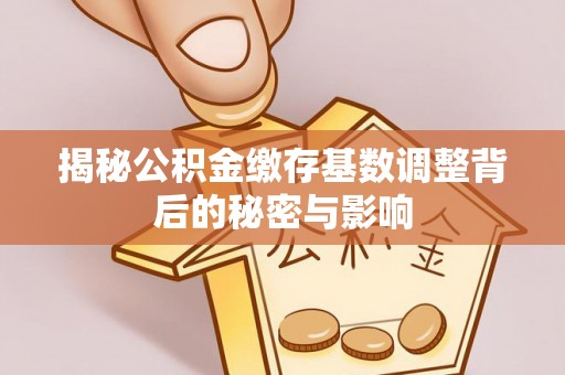 孟村揭秘公积金缴存基数调整背后的秘密与影响