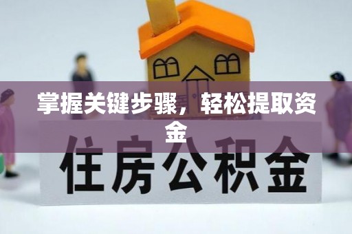 孟村掌握关键步骤，轻松提取资金