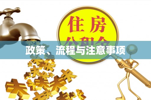 孟村政策、流程与注意事项