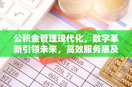 孟村公积金管理现代化，数字革新引领未来，高效服务惠及民生
