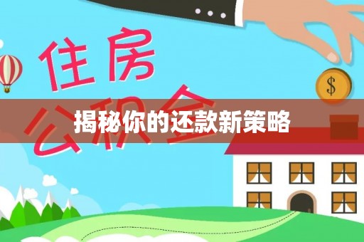 孟村揭秘你的还款新策略