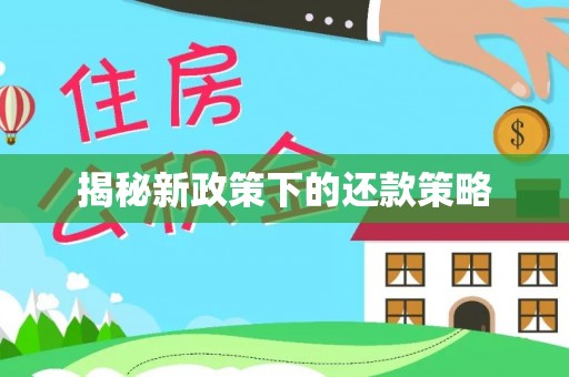 孟村揭秘新政策下的还款策略