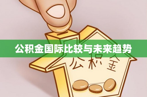 孟村公积金国际比较与未来趋势