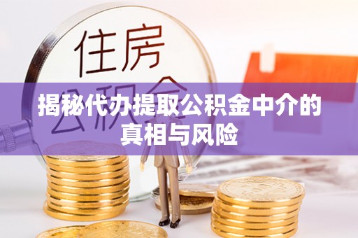 孟村揭秘代办提取公积金中介的真相与风险
