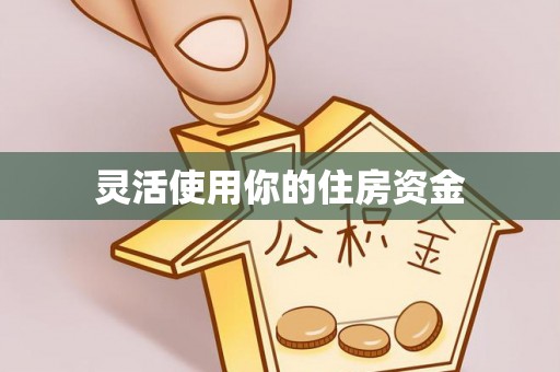 孟村灵活使用你的住房资金