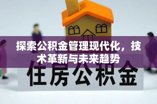 孟村探索公积金管理现代化，技术革新与未来趋势