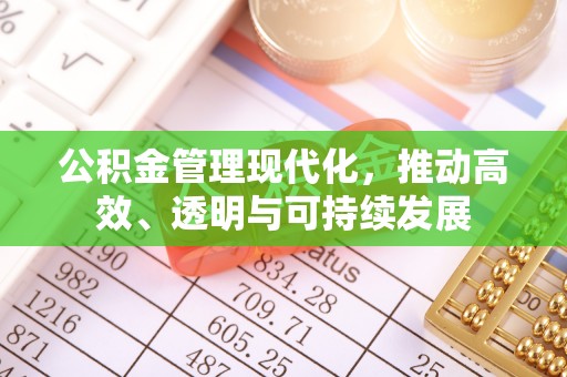 孟村公积金管理现代化，推动高效、透明与可持续发展