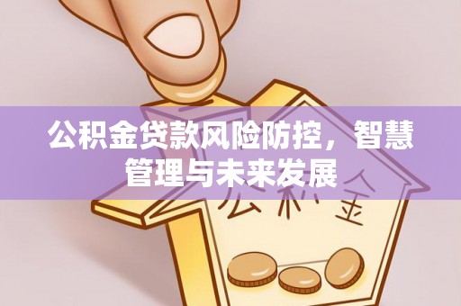 孟村公积金贷款风险防控，智慧管理与未来发展