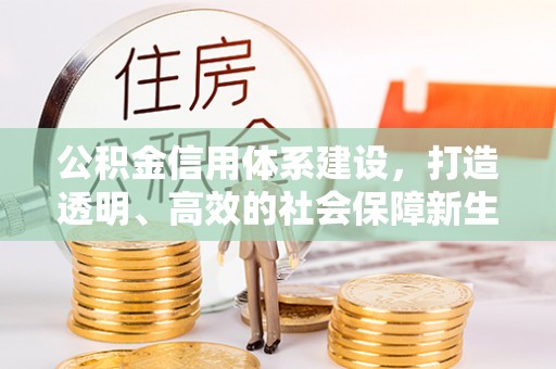 孟村公积金信用体系建设，打造透明、高效的社会保障新生态