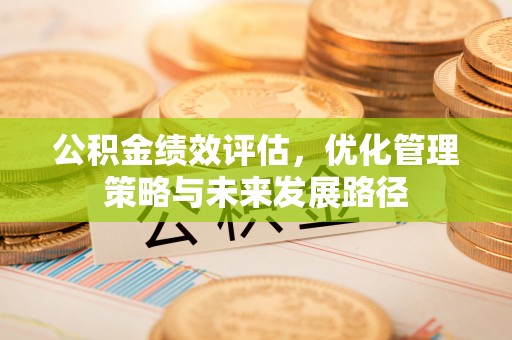 孟村公积金绩效评估，优化管理策略与未来发展路径