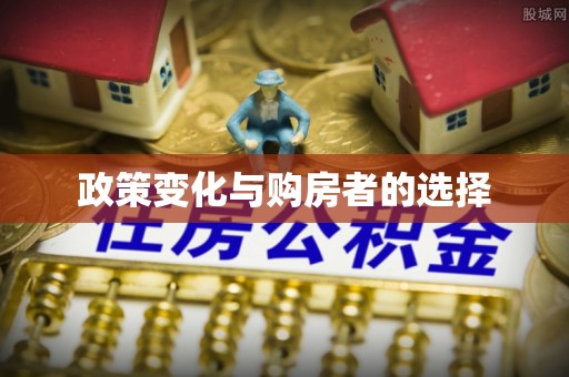 孟村政策变化与购房者的选择
