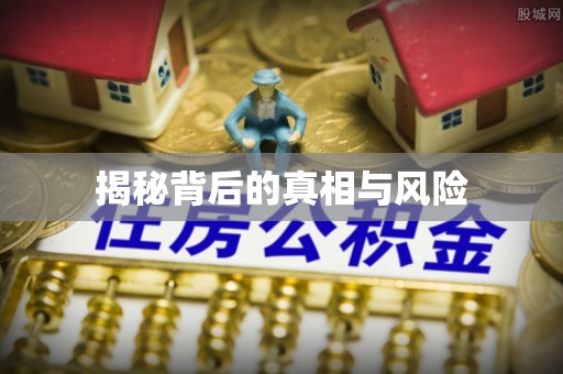 孟村揭秘背后的真相与风险