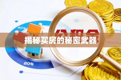 孟村揭秘买房的秘密武器