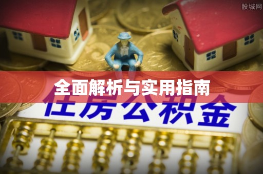 孟村全面解析与实用指南