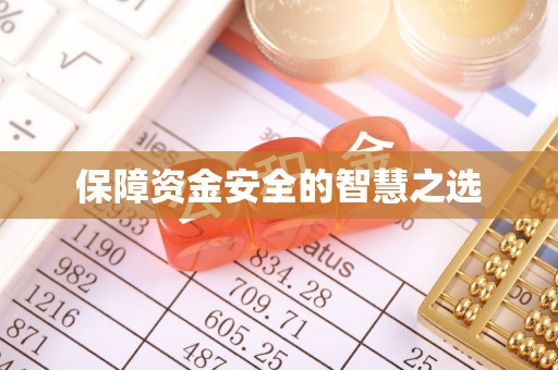 孟村保障资金安全的智慧之选