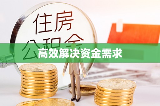 孟村高效解决资金需求