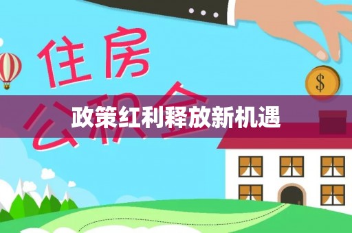 孟村政策红利释放新机遇