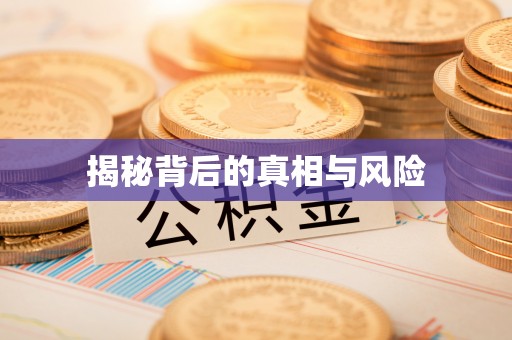 孟村揭秘背后的真相与风险