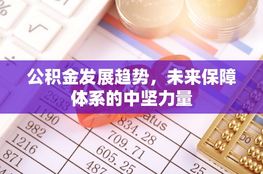 孟村公积金发展趋势，未来保障体系的中坚力量