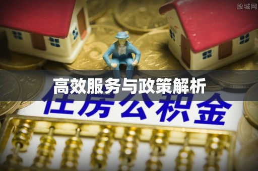 孟村高效服务与政策解析