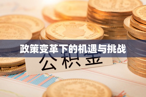 孟村政策变革下的机遇与挑战