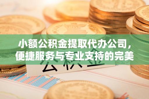 孟村小额公积金提取代办公司，便捷服务与专业支持的完美结合