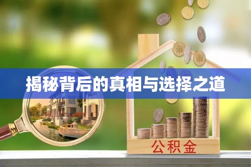孟村揭秘背后的真相与选择之道