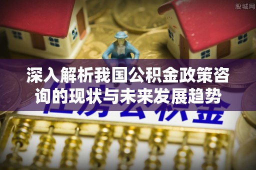 孟村深入解析我国公积金政策咨询的现状与未来发展趋势