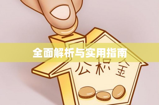 孟村全面解析与实用指南