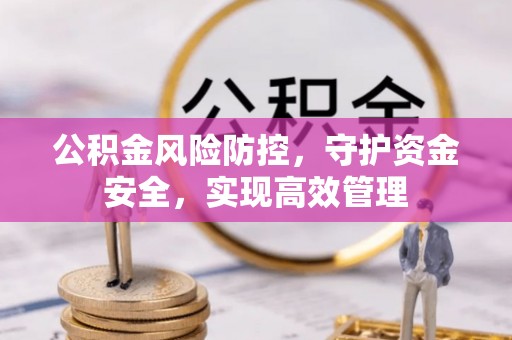孟村公积金风险防控，守护资金安全，实现高效管理