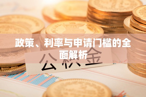 孟村政策、利率与申请门槛的全面解析