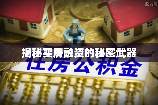 孟村揭秘买房融资的秘密武器