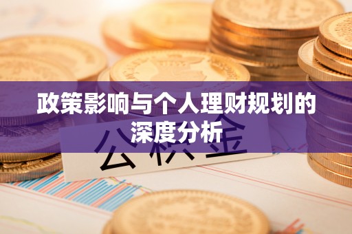 孟村政策影响与个人理财规划的深度分析
