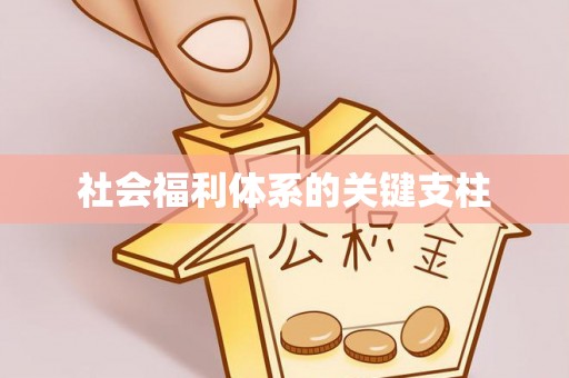 孟村社会福利体系的关键支柱