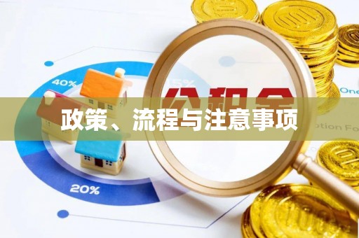 孟村政策、流程与注意事项