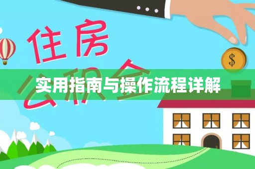 孟村实用指南与操作流程详解