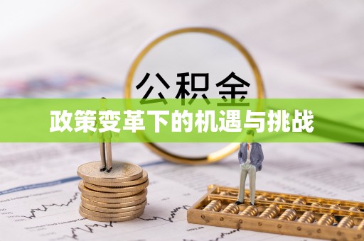 孟村政策变革下的机遇与挑战