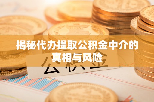 孟村揭秘代办提取公积金中介的真相与风险