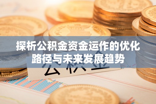 孟村探析公积金资金运作的优化路径与未来发展趋势