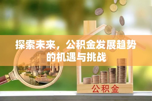 孟村探索未来，公积金发展趋势的机遇与挑战