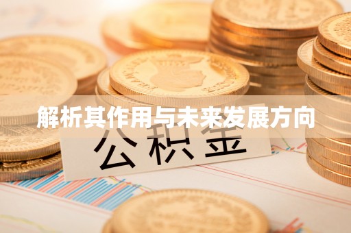 孟村解析其作用与未来发展方向
