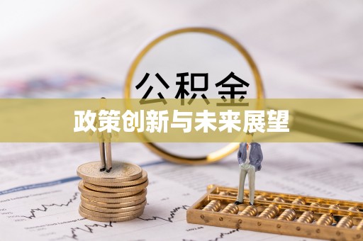 孟村政策创新与未来展望
