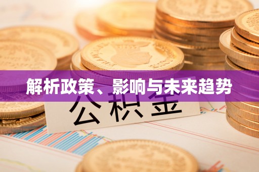 孟村解析政策、影响与未来趋势