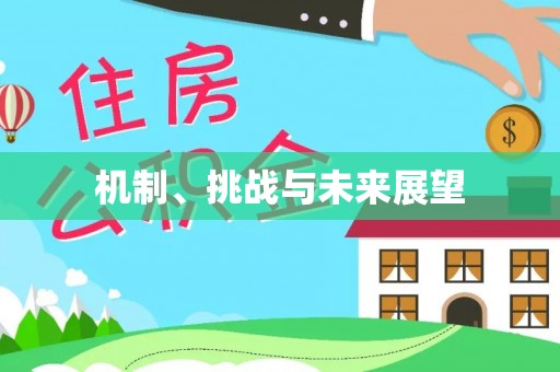 孟村机制、挑战与未来展望